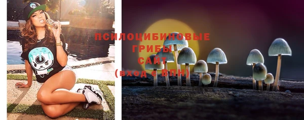 трава Пересвет