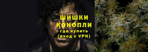 амф Валдай