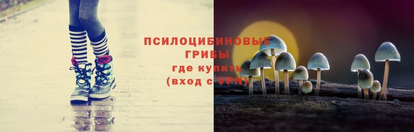 PSILOCYBIN Пестово