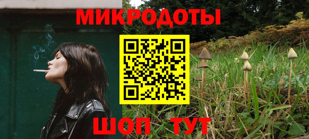 Псилоцибиновые грибы мицелий  Вольск  Псилоцибиновые грибы Cubensis 