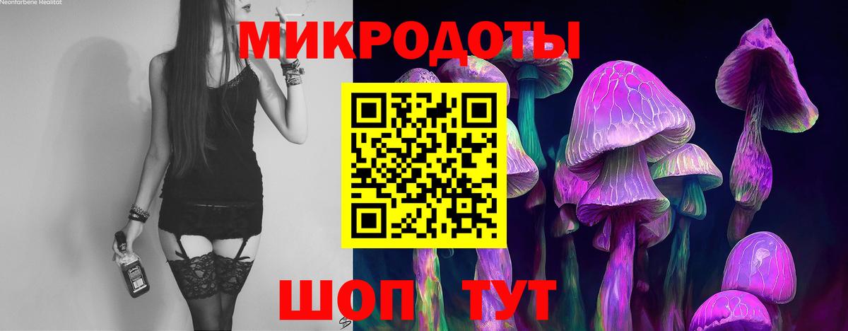 Псилоцибиновые грибы прущие грибы Вольск