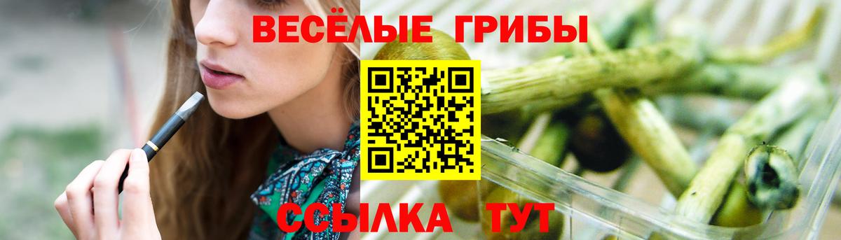 Вольск  Галлюциногенные грибы GOLDEN TEACHER  Вход с VPN  Галлюциногенные грибы мицелий 